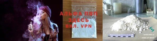 PSILOCYBIN Козловка