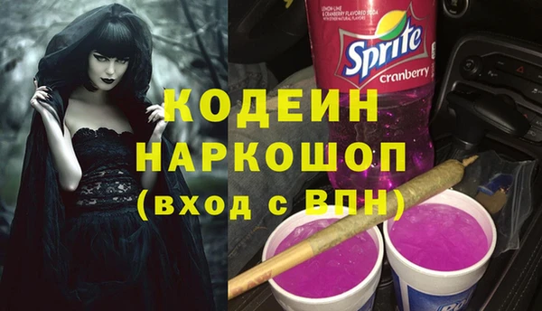 PSILOCYBIN Козловка