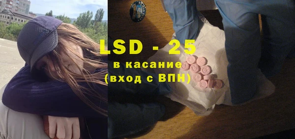 PSILOCYBIN Козловка