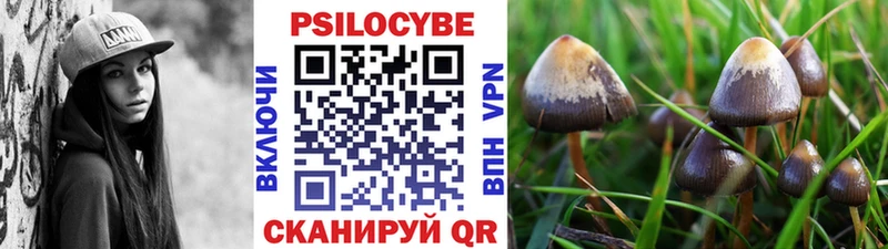 Псилоцибиновые грибы GOLDEN TEACHER  Купить  Протвино 